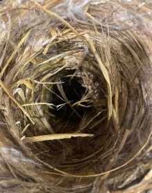 I spent the night consulting our ancestors, 2021