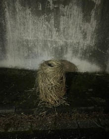 it’s hilarious, sweets of no home of paranoia, 2021